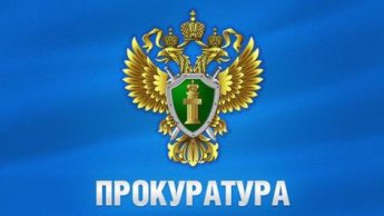 Уголовная ответственность за организацию незаконной миграции