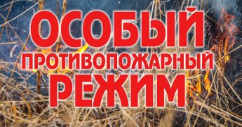 Требования пожарной безопасности в период особого противопожарного режима