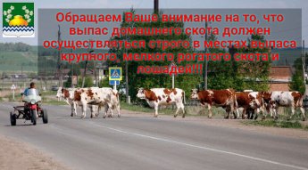      Обращаем Ваше внимание на то, что выпас домашнего скота должен осуществляться строго в местах выпаса крупного, мелкого рогатого скота и лошадей: 
