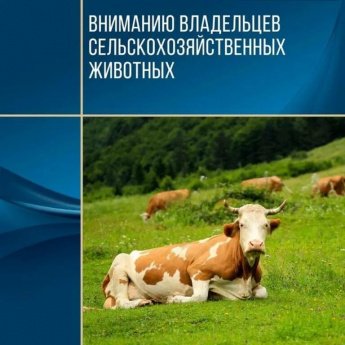 Уважаемые владельцы сельскохозяйственных животных!