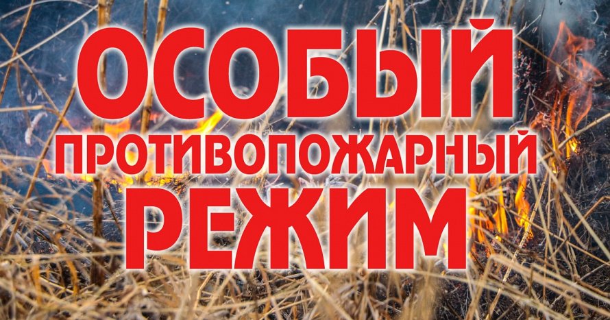 Требования пожарной безопасности в период особого противопожарного режима