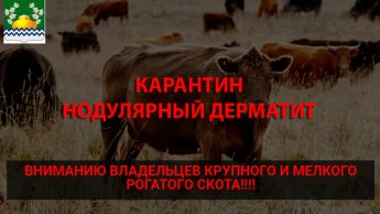 ПАМЯТКА ДЛЯ НАСЕЛЕНИЯ ПО ЗАРАЗНОМУ УЗЕЛКОВОМУ (НОДУЛЯРНОМУ) ДЕРМАТИТУ КРУПНОГО РОГАТОГО СКОТА