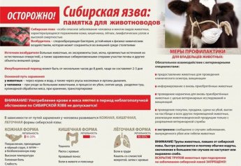 Сибирская язва животных