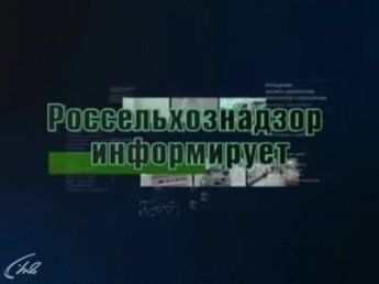Заболевание Случная болезнь 